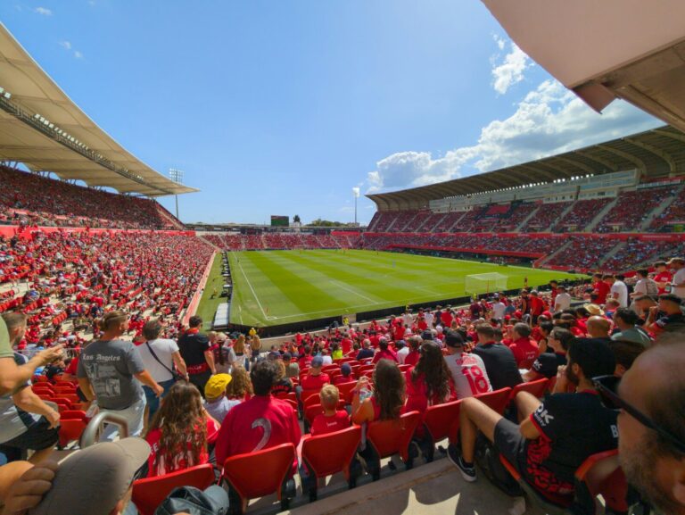A soccer stadium is filled with excited fans